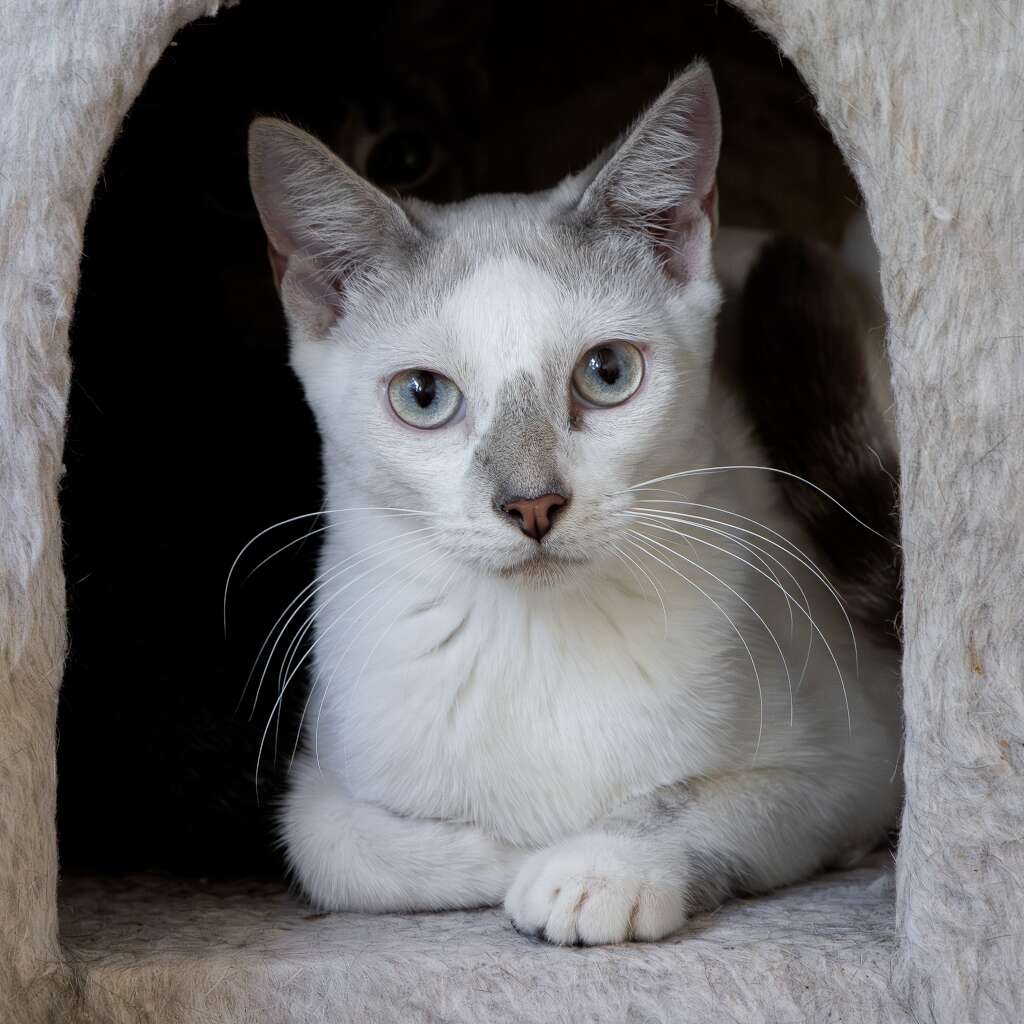 Tito