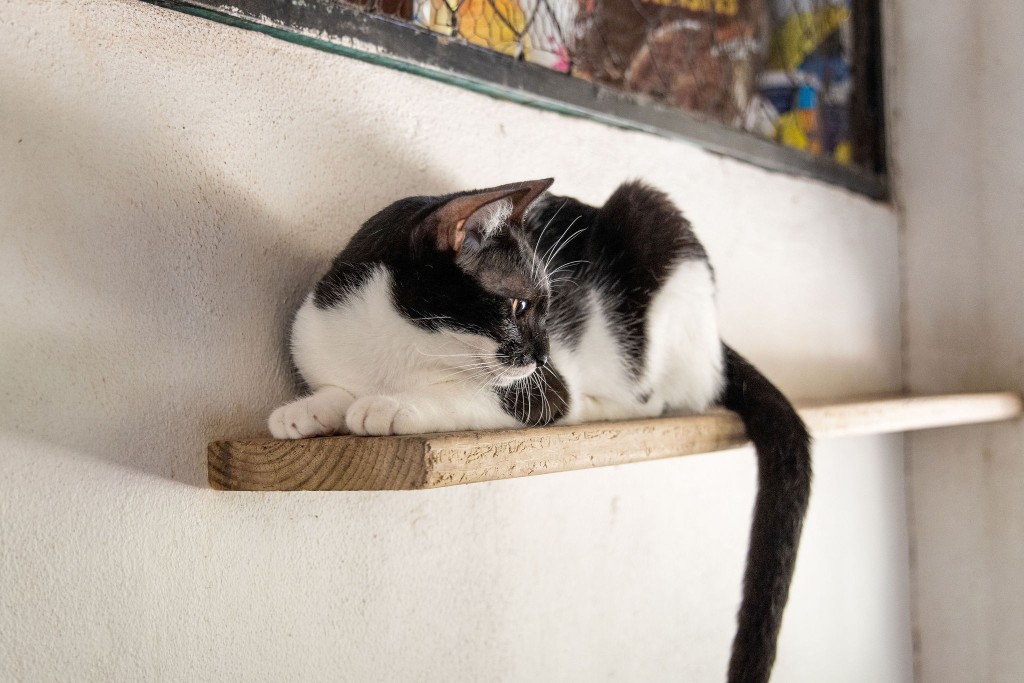 Caty