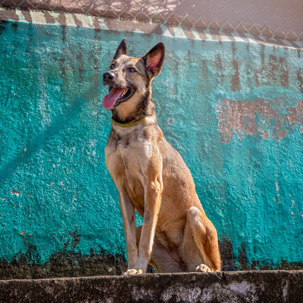Betty