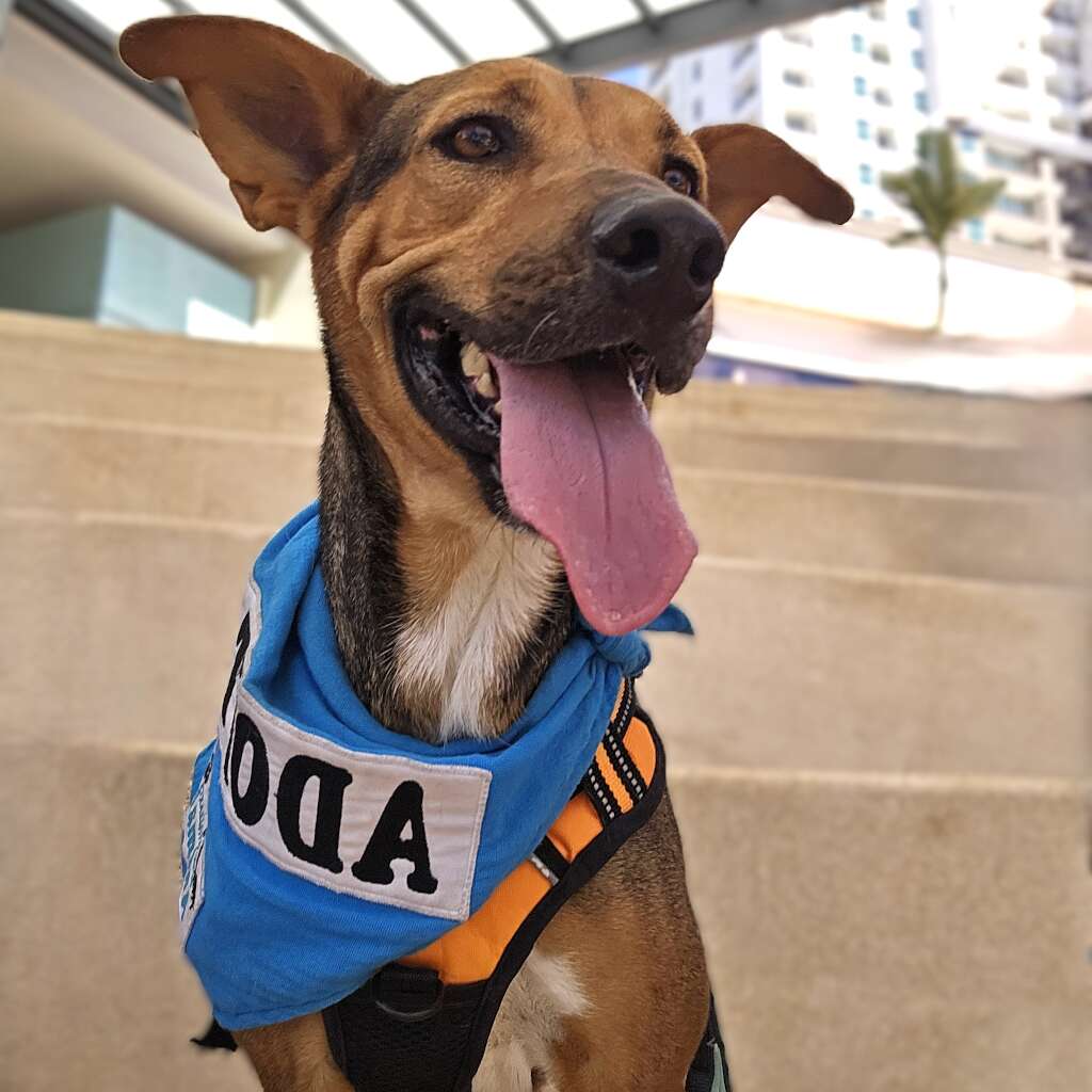 Moka