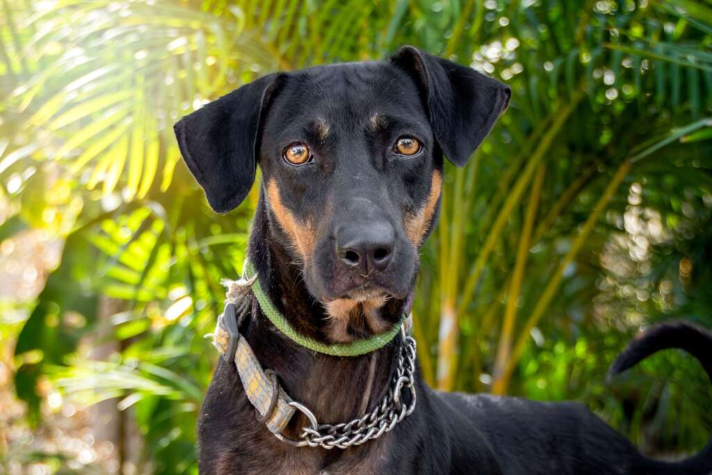 Salma