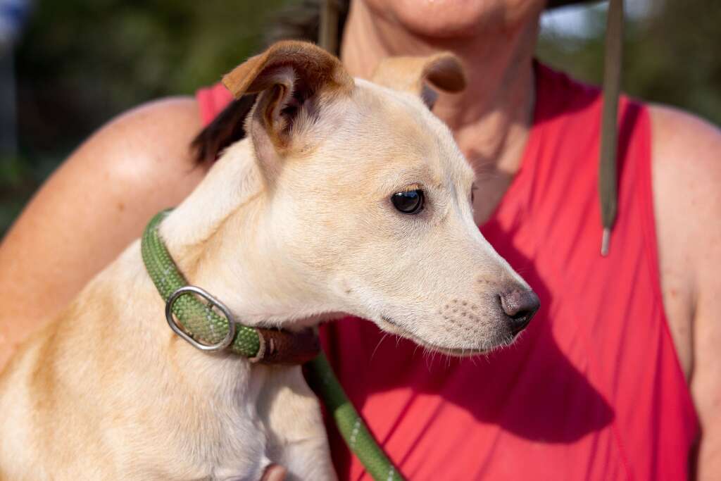 Lupita