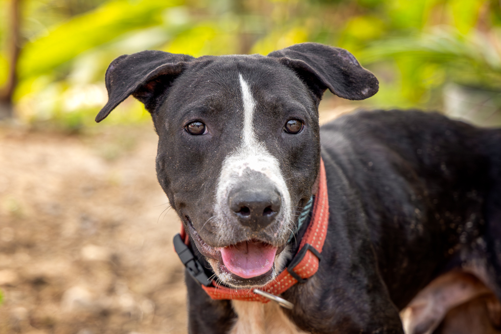 Kinder