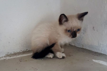 Jerry