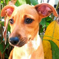 Aby