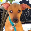 Adrián