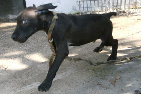Kinki