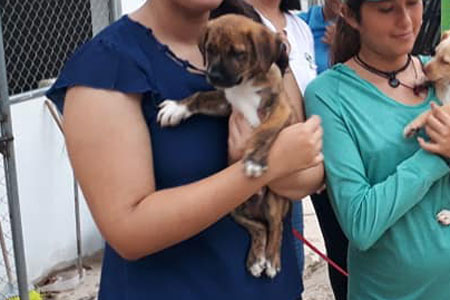 Rayito