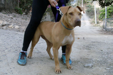 Roxy